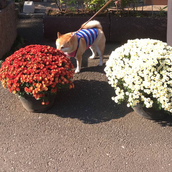 4dd86d36 d140 468c 902f edca9ae47732 1573203602842