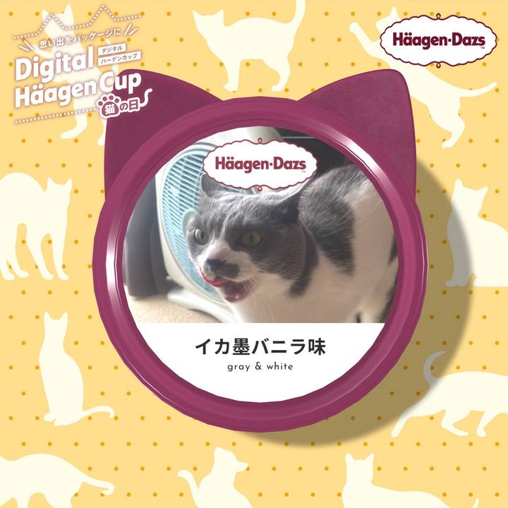 4dd8a089 263c 447d a3c1 c92fa222ae37 1708734245641