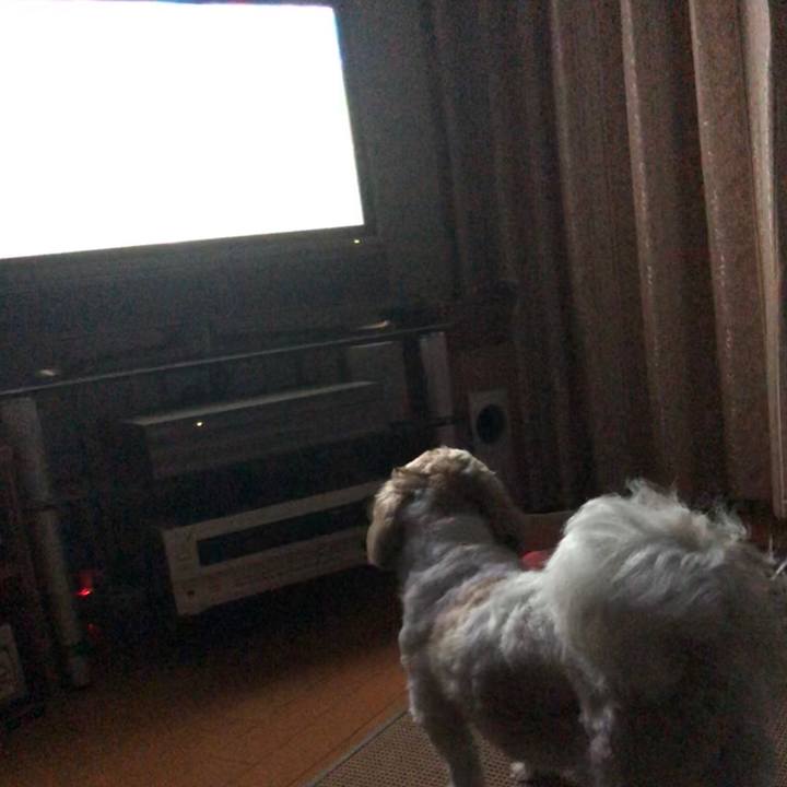 4dd9396f f142 4438 9f06 cd695eed4fbe 1530135669663