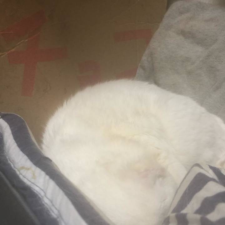 4dd97b68 3521 4464 84f7 ec093d6c95b8 1546764889182