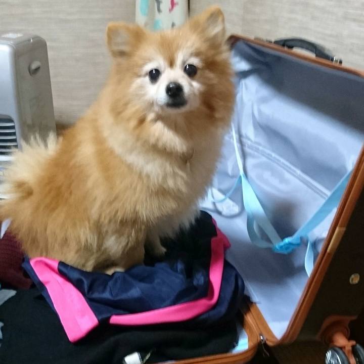 4dd9d6fb d974 432d 8bbe c5f78c0a4ad2 1514963419176