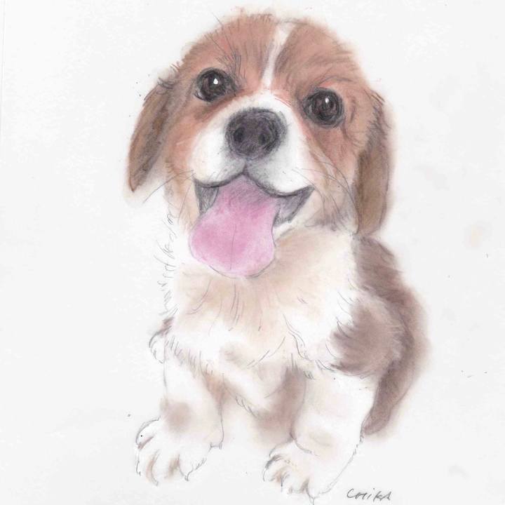 4dd9e0f7 978c 44b7 9fa8 e995f0451a59 1588781399740