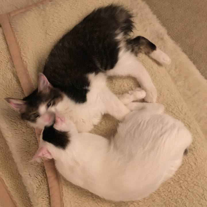 4dda0df0 bc75 492e 94a0 cea368a93d54 1665528842808