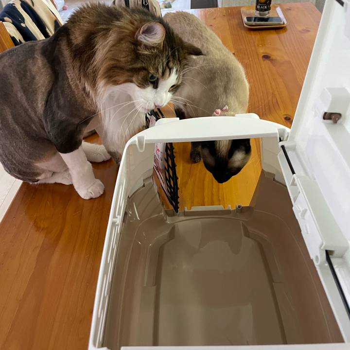 4dda13ff 1f99 449b 8226 415962c9b67e 1719401043186