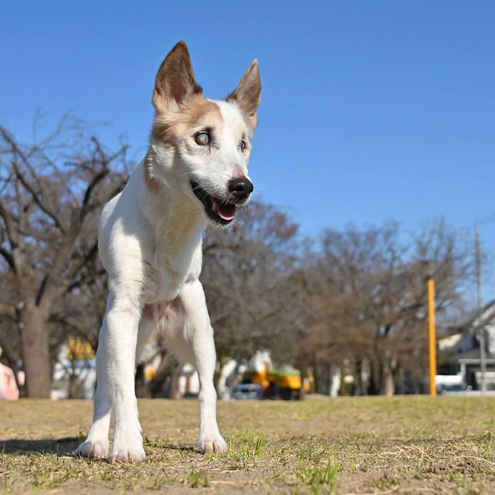 4dda16c6 3b45 439e bbb5 a502390f550a 1773743714364