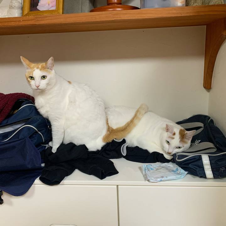 4dda1ee2 1ab9 4246 bf0d a5f211914657 1640948043121