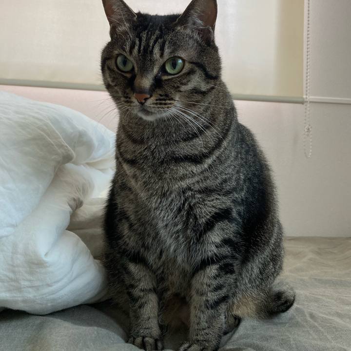 4dda3540 948b 4e7e af5f 521cc2dccd7a 1651467446963