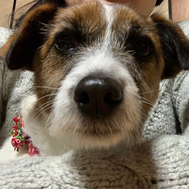 4dda5507 47fa 4d07 b769 324b90b40427 1546770933652