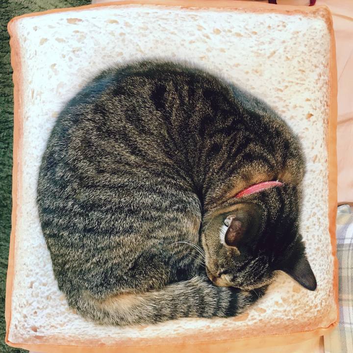 4dda5ca5 567d 427e 825d df849ea25a01 1520133744282