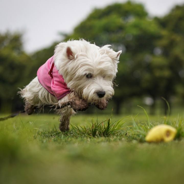 4dda8578 804b 47ee 97db d321264f357c 1524485573856