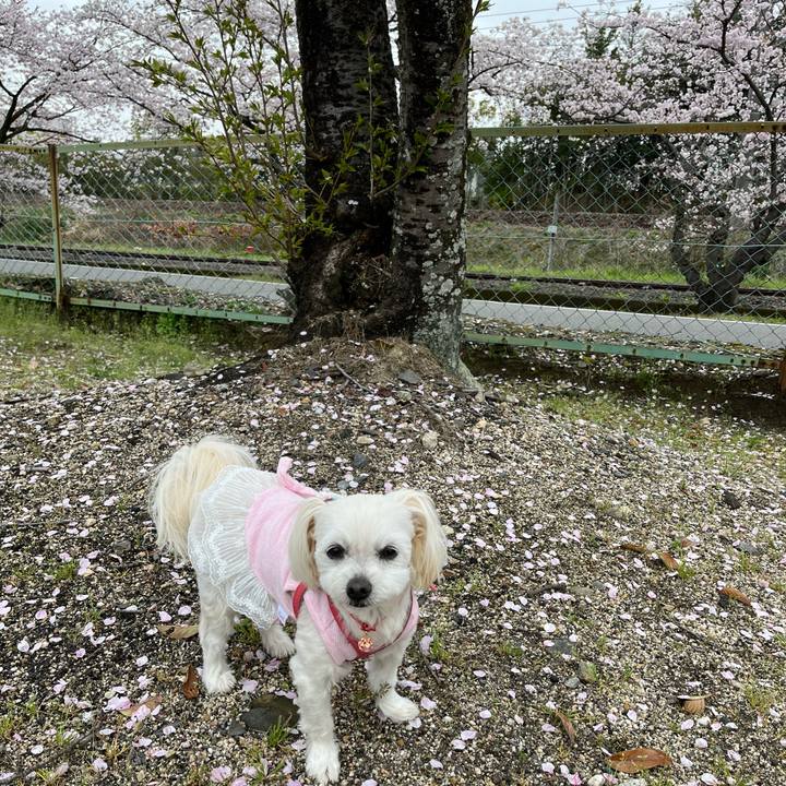 4ddaa7c1 6982 4200 ad33 9f2a27c170e4 1679732869431