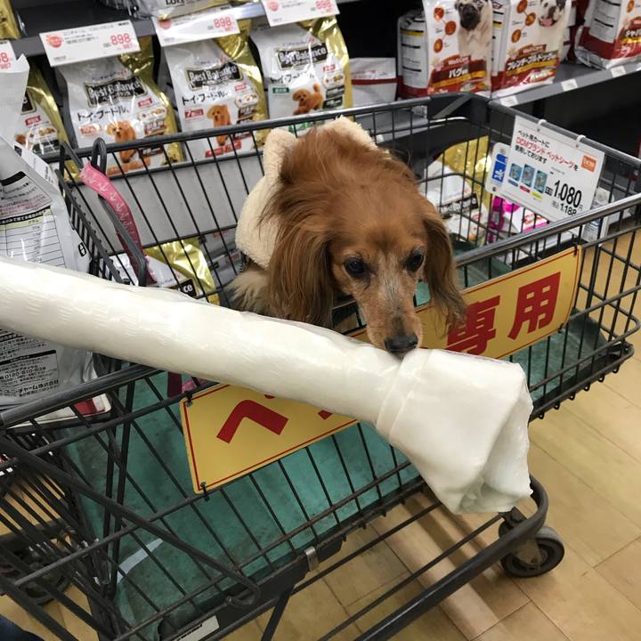 4ddaaa0f cdae 469e 80c3 deee3e34bef8 1578141356465