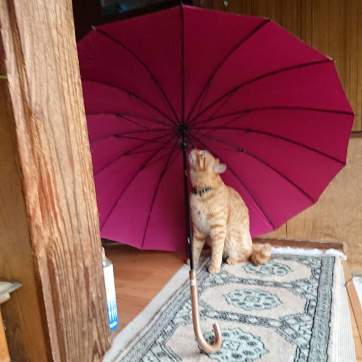 4ddab52b 332d 4b29 a39e a0f774805581 1656319792110