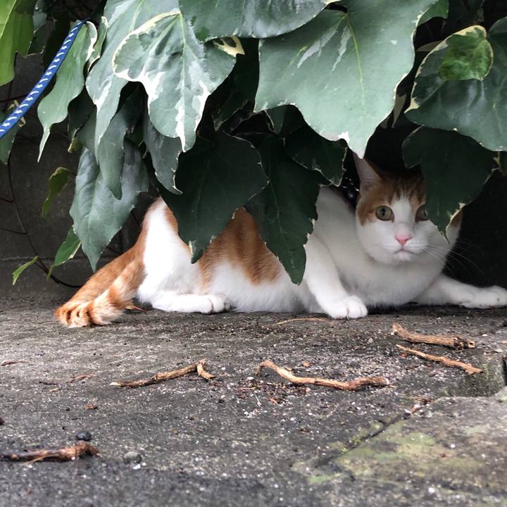 4ddabf3b a2fc 4b1a a1bb 4e5a3718c970 1539753937667