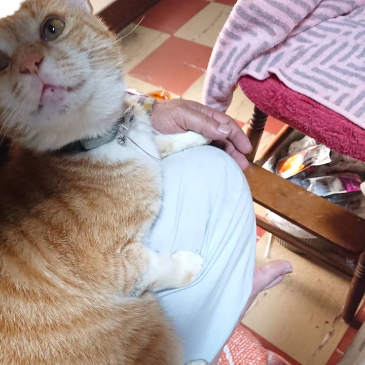 4ddacd78 53a4 49cb aae6 1ac4ba863d8d 1590181499020