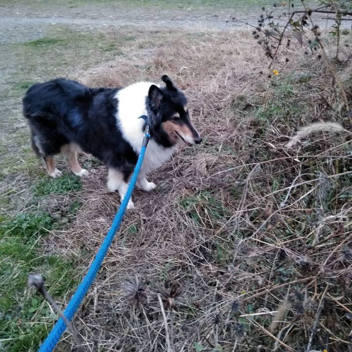 4ddaf599 1f9d 4a0b 9170 6c91b300aee9 1543926260677