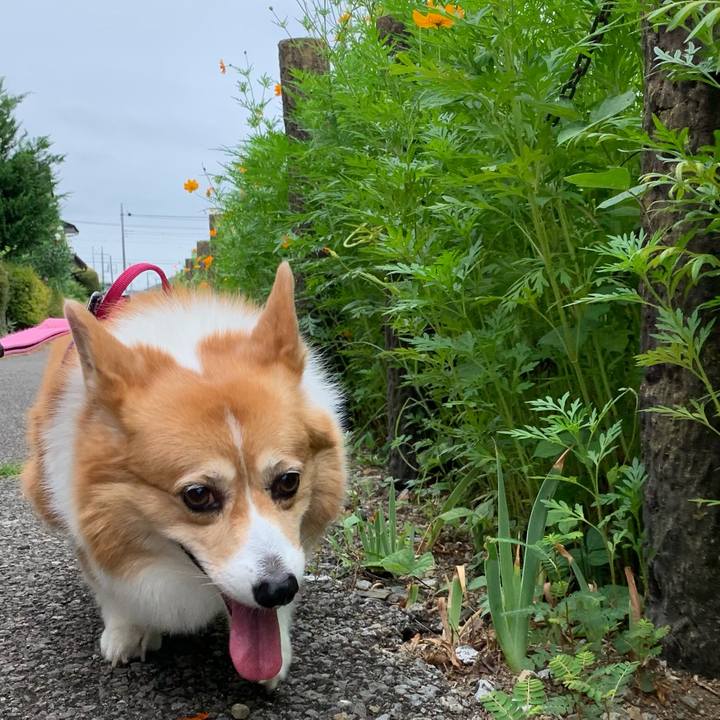 4ddb12fe b387 4e4e 9302 3508d9e6e32b 1723937029730