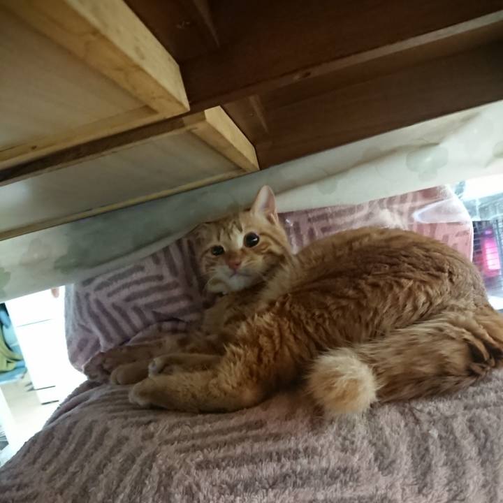 4ddb355b 7ec6 4974 9cee 8aa3c54c9d0a 1641593410431