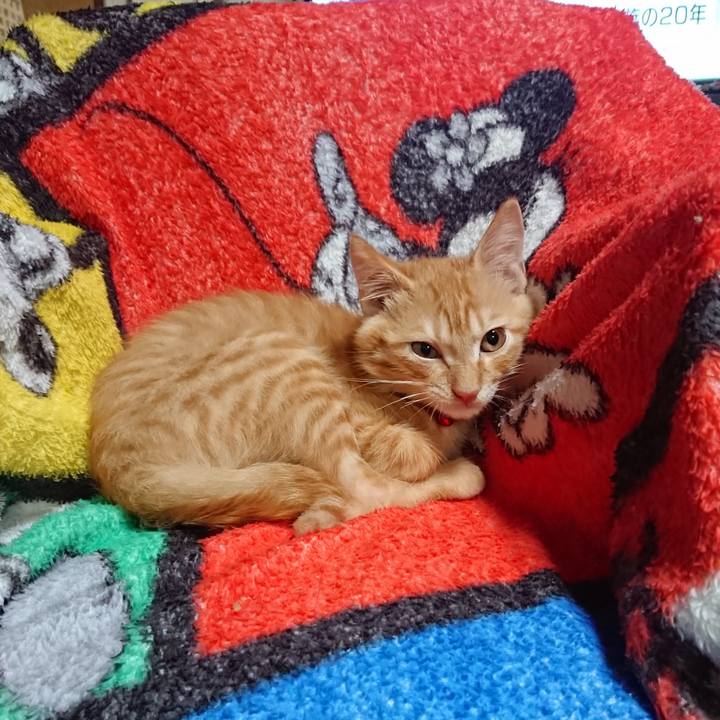 4ddb36de 861a 490f bb3b 5c69aef10078 1631441891129