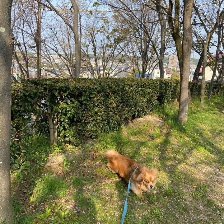 4ddb63fc fa73 474a a634 8c6c85299144 1587860365226