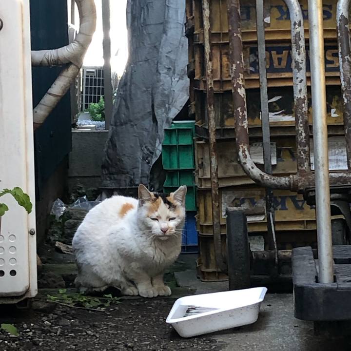 4ddb696c 5a2c 4667 809b d12f4592f4bc 1584629287332