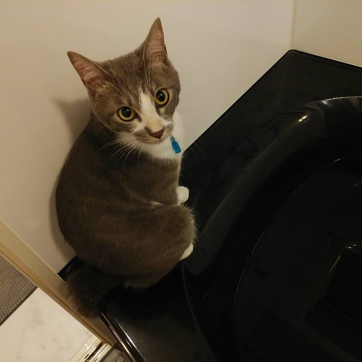 4ddb7c5c 794e 4a85 b602 6d4d52930720 1593873196965