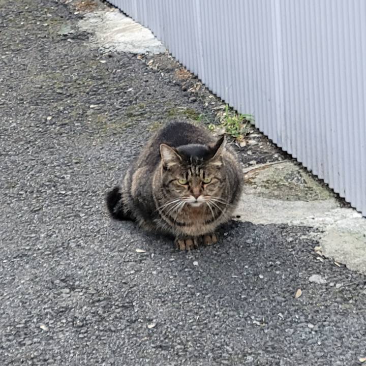 4ddb8020 9563 4eb5 9436 877d7c38f761 1698218145422