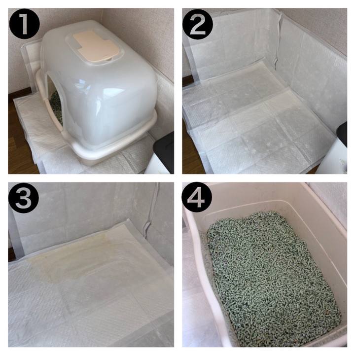 4ddc1b37 e37f 4f0e 8ade 69518a73f781 1587252853109