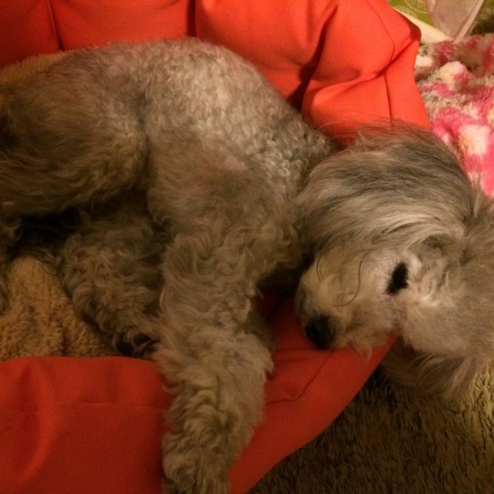 4ddc3e55 8bdb 4947 ae51 34e95d417abf 1511132519916