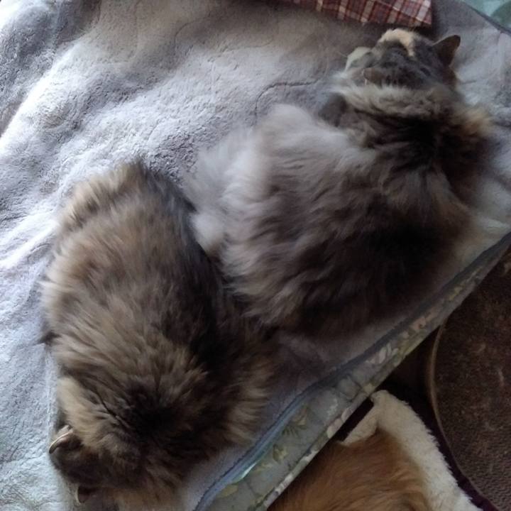 4ddc93e0 0779 4e05 9c9d 140d51cfa90f 1762051702098