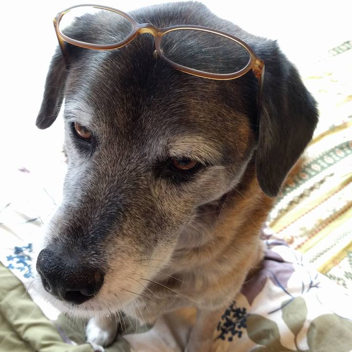 4ddcaf82 84c1 417b 9c11 7d037f6c3383 1552967090005