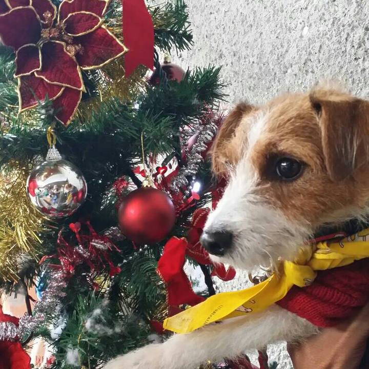 4ddcb188 d3eb 4f37 b8b4 77ee08c9d75c 1545129000439