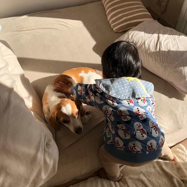 4ddcb6e7 a2fb 4b13 b4aa 9fc21ff8605e 1639988095290