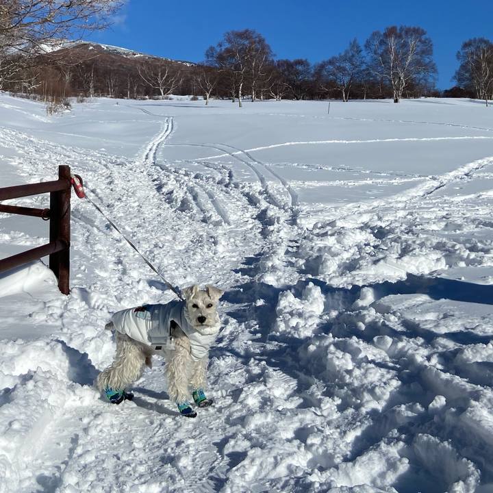 4ddcb8e0 1a36 4d88 8d75 548806b4e302 1769955858913