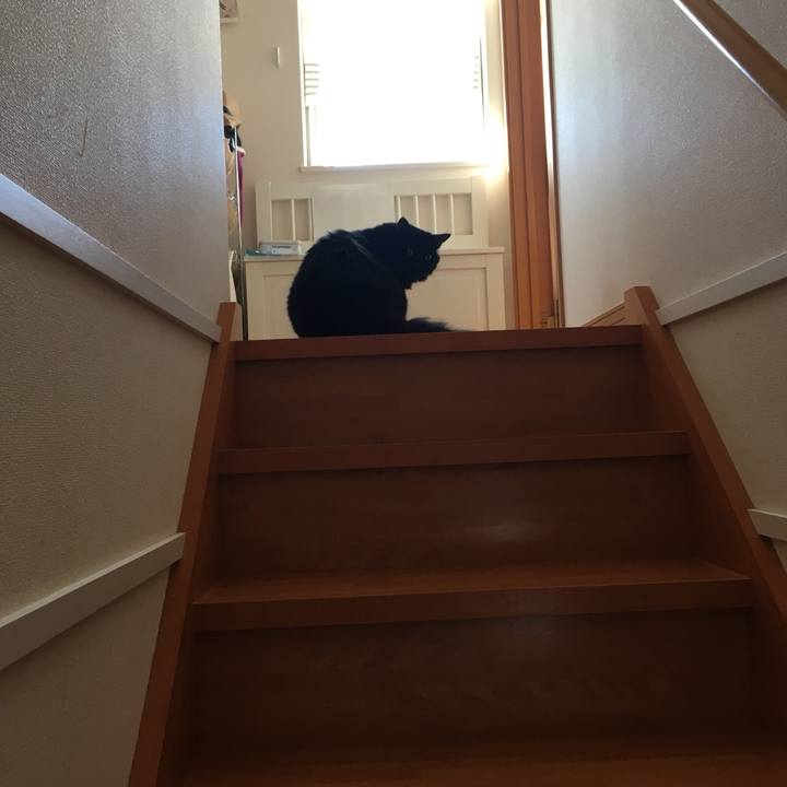 4ddce113 23e0 4700 aae4 afc204f1361b 1536129043317