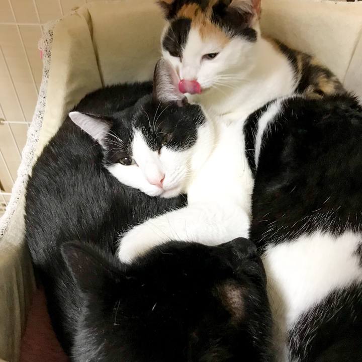 4ddced38 0a47 4b54 a627 56283e8c18df 1516842063972