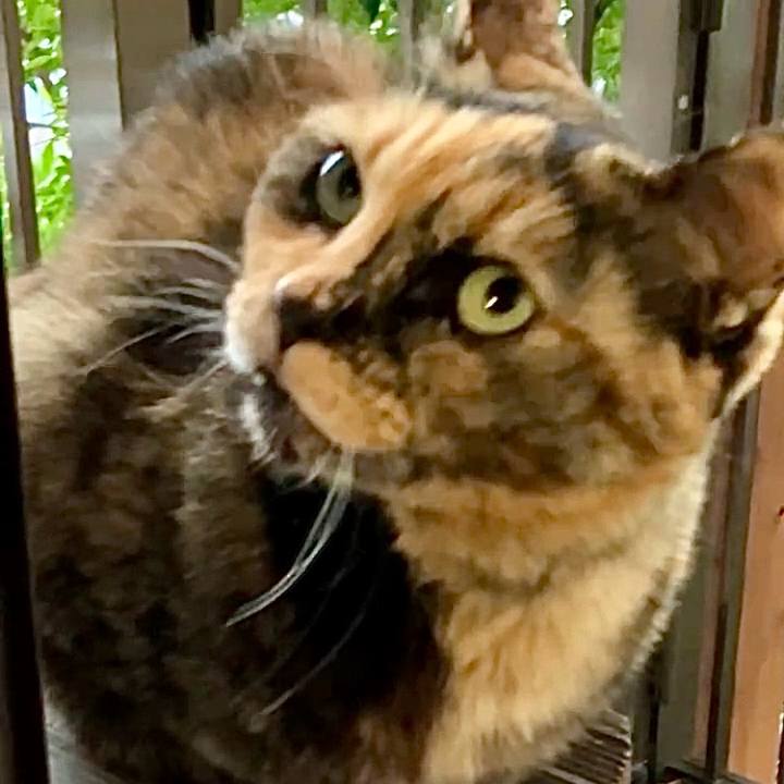 4ddd1e1f 860e 40e5 8e3c 971b17ab971c 1732353919936