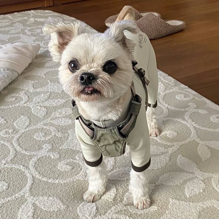 4ddd3ac5 af07 4adc a7a3 42c2572cdc58 1738481662567