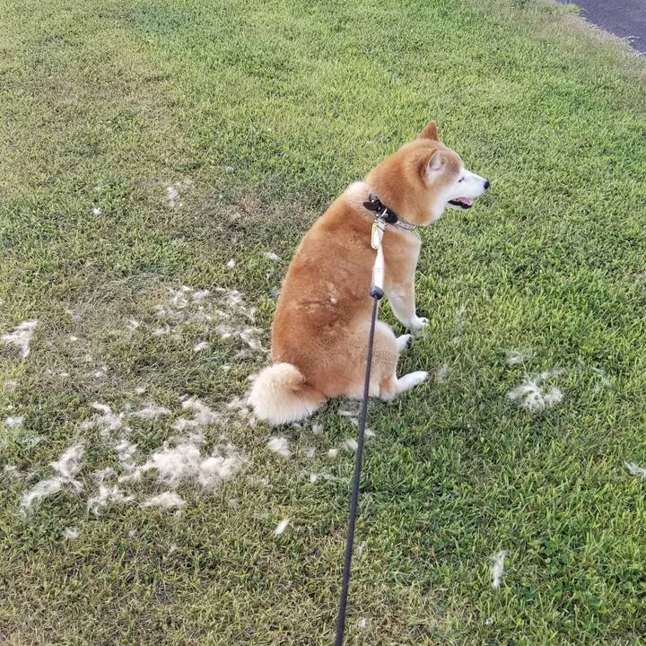 4ddd4da8 07c7 434b a9ba 152b0ce792fe 1656677762697