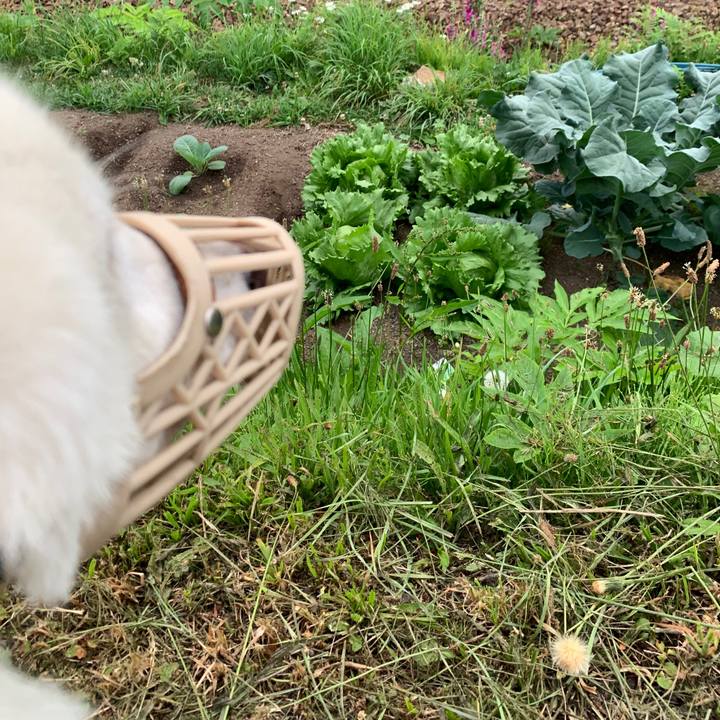 4ddd52a9 cfe3 4f51 b652 14d68acd8d07 1562358978330