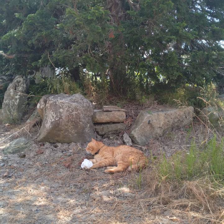 4dde00cf f7ef 415b 849c 892ed9ada1c3 1752373642142