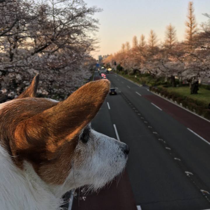 4dde04ef 6825 493a 9b10 ed7b422c1e5d 1616803684328