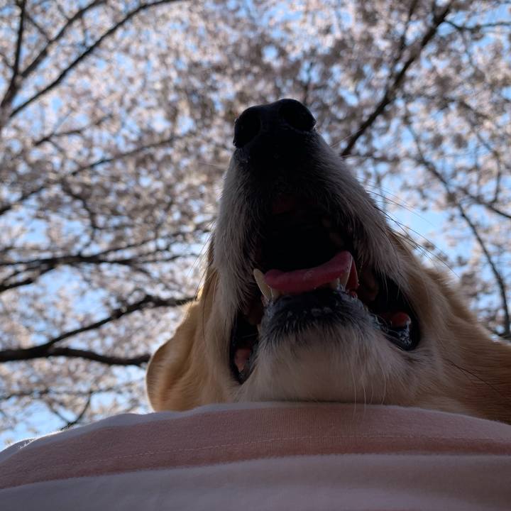 4dde0b3a eeba 492a b7ea eaeb716389f6 1679994310742