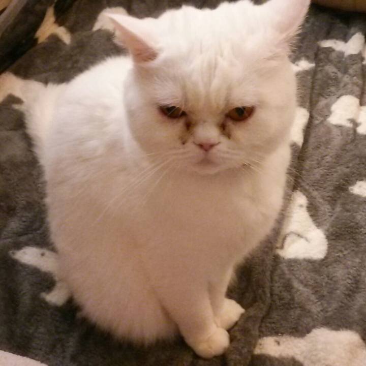 4dde7213 567e 4b4b 95bc 9792bb82a9ef 1516938166093