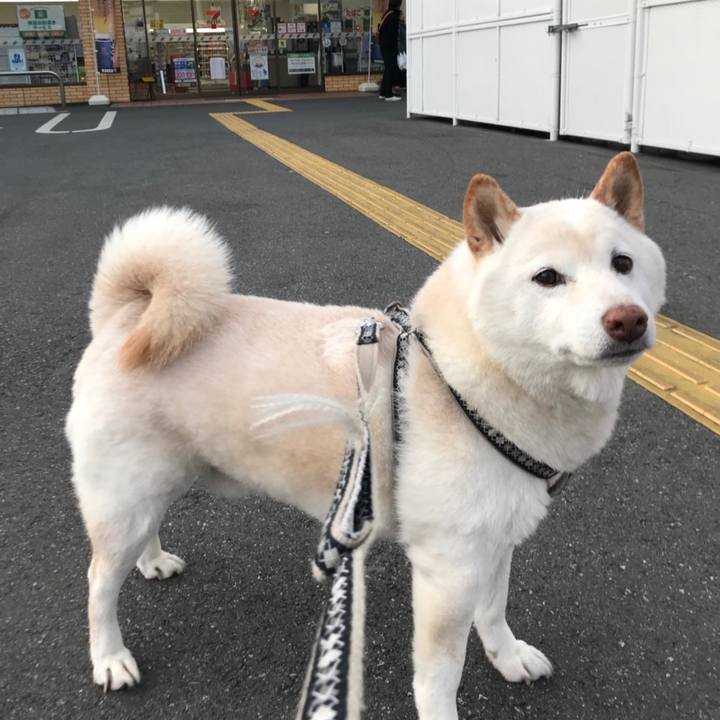 4dde773a b70b 4b3c 8cc4 db1b18faccae 1699309449476