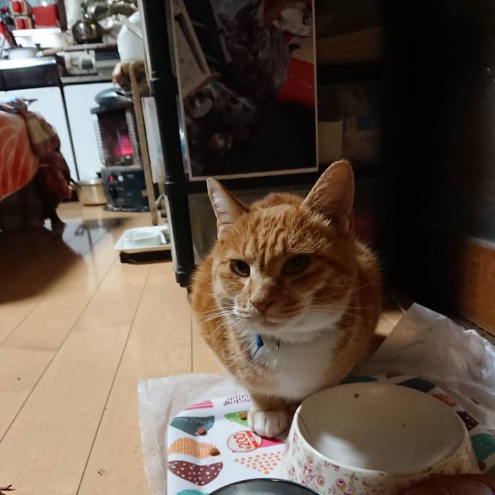 4dde783f 6cfe 4150 ad15 b1c3563dc380 1604864421878