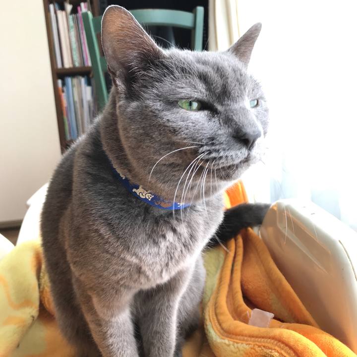 4dde7e89 9070 4998 a492 c2beae971c8d 1511060729697