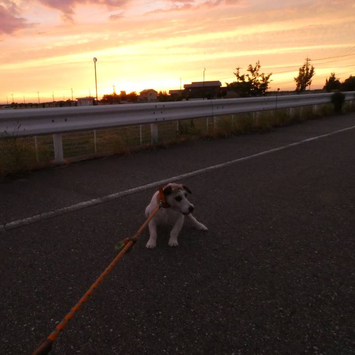 4dde9ac3 e13a 45c0 875e fd0607f2a771 1591441338668