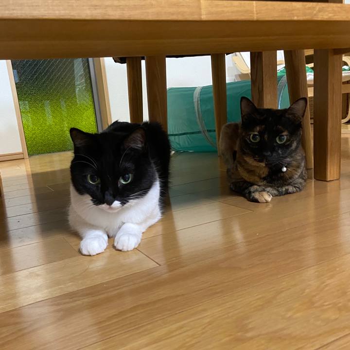 4ddeb9f4 b54f 4219 88d2 9441a717f8c7 1604930903699