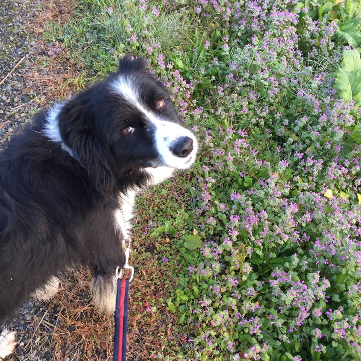 4ddeca56 4b9d 4d66 b3b1 2d1b9f9406b9 1574470022828